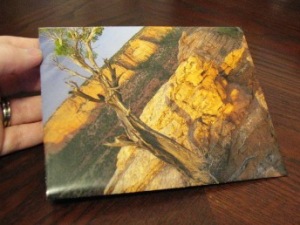 Front of Finished Envelope
