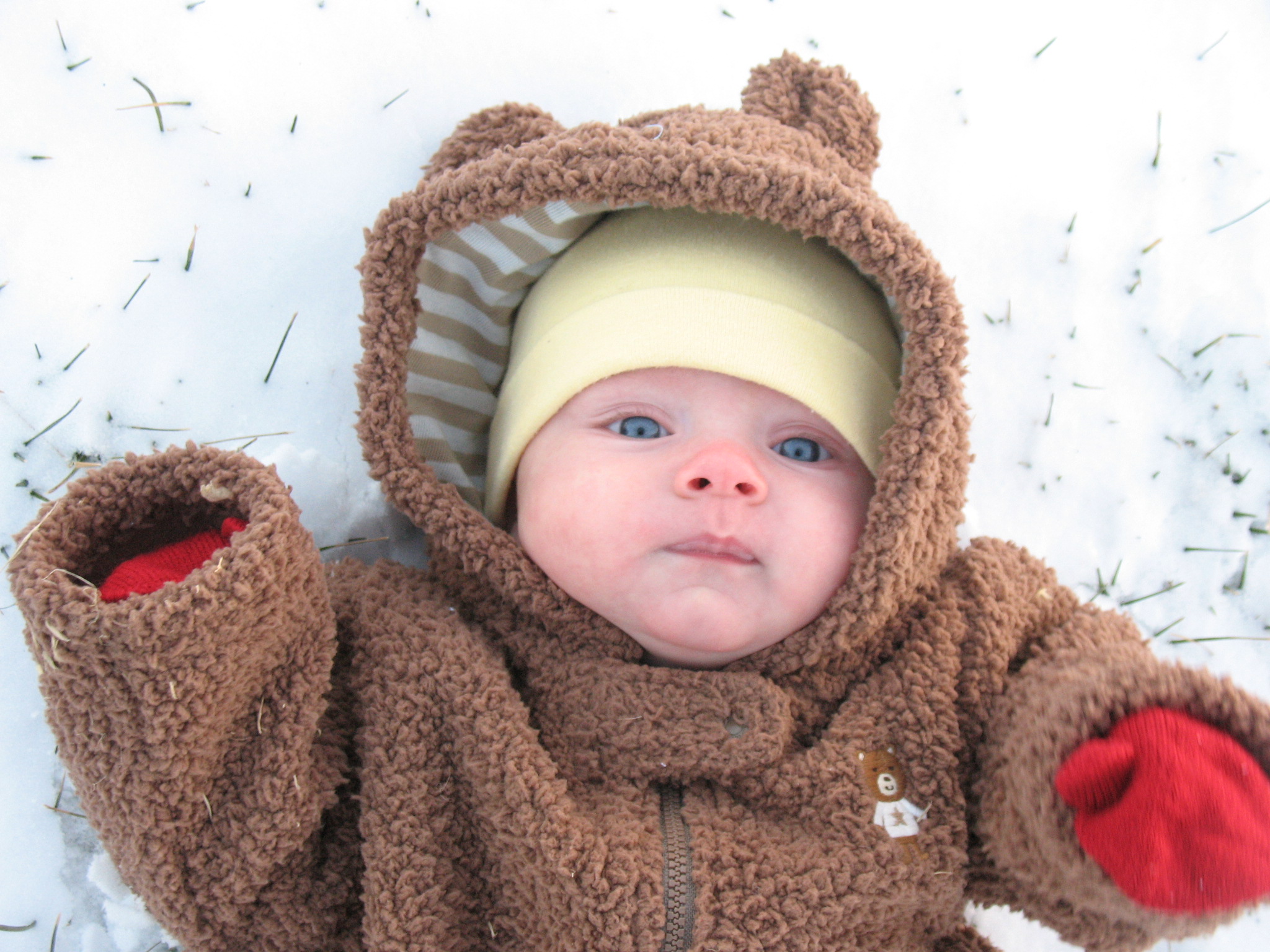 In the Snow