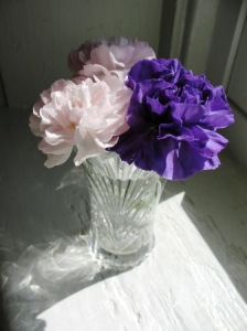 Simple Carnations