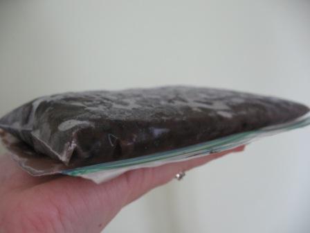Black Beans Frozen Flat in a Freezer Bag