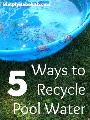 5 Ways to Recycle Pool Water - Are you daring enough to try number 5?