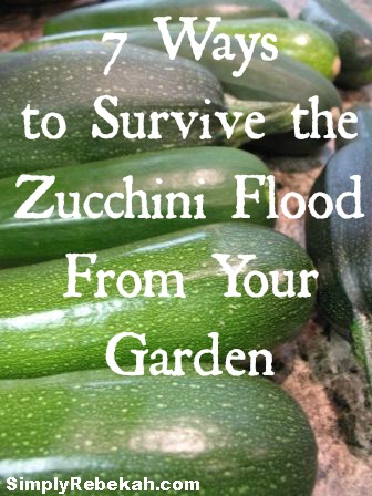7 Ways to Survive the Zucchini Flood from your Garden