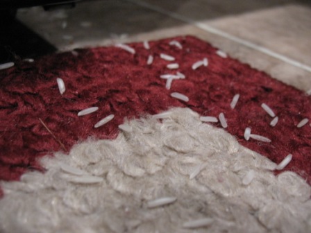 Rice on the Rug