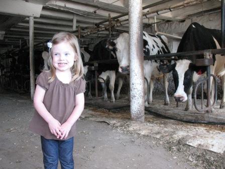 Grace and the Cows