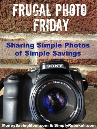 Frugal Photo Friday