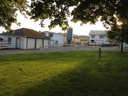 Dairy Farm