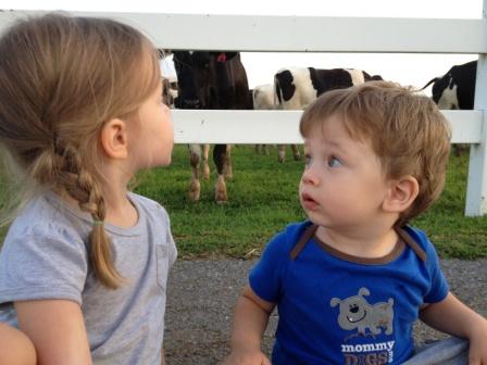 dairy farm 8