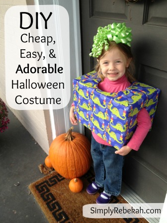 DIY Cheap Easy Birthday Present Halloween Costume