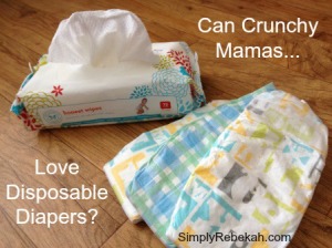 Can Crunchy Mamas Love Disposable Diapers?