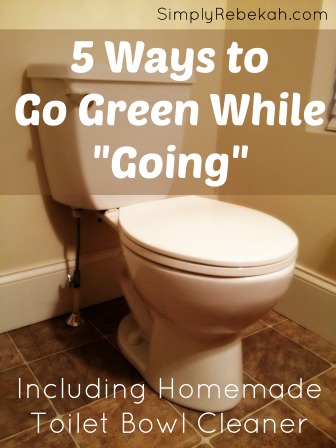 5 Ways to Go Green While "Going" {including homemade toilet bowl cleaner}