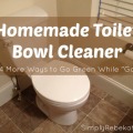 Homemade Toilet Bowl Cleaner - Plus 4 More Ways to Go Green While "Going"