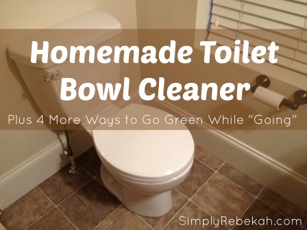 5 Ways to Go Green While “Going” {including homemade toilet bowl cleaner}