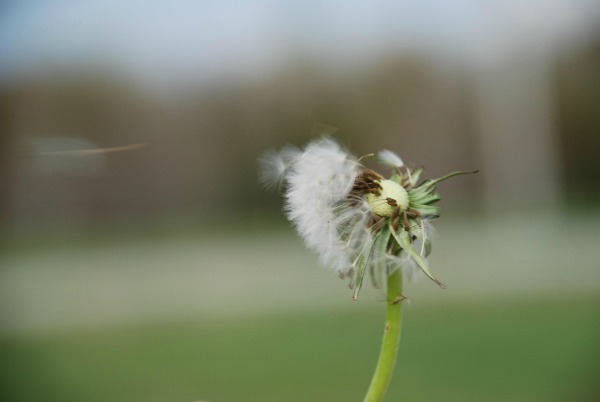 miscarriage and grief