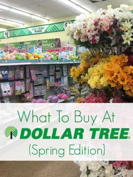 What to Buy at Dollar Tree: Spring Edition