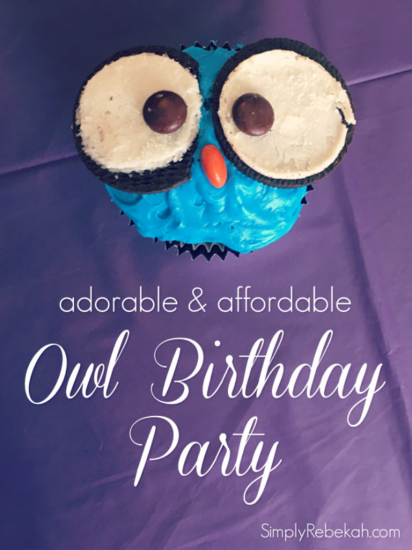 Adorable and Affordable Owl Birthday Party Ideas