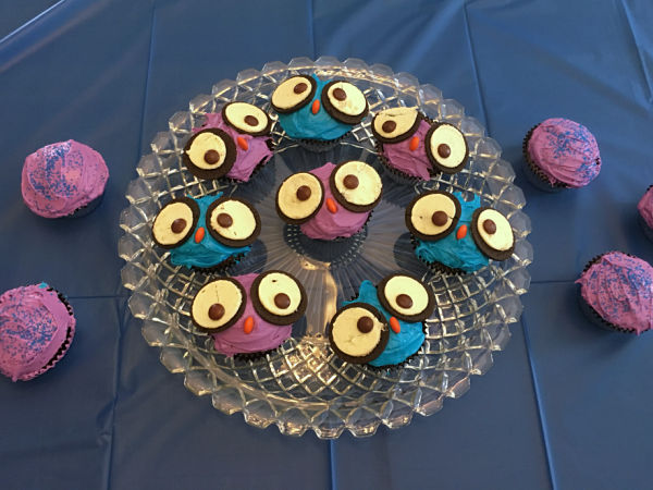 Owl Birthday Party Cupcakes
